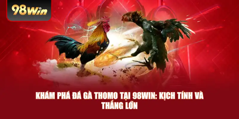 Khám Phá Đá Gà Thomo Tại 98win: Kịch Tính Và Thắng Lớn
